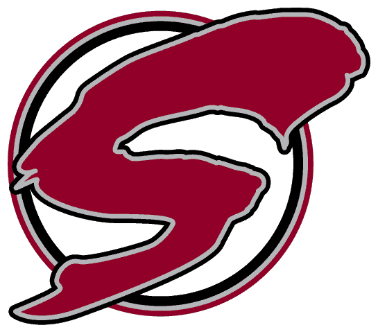 Guelph Storm 1997-2007 Alternate Logo iron on transfers for clothing